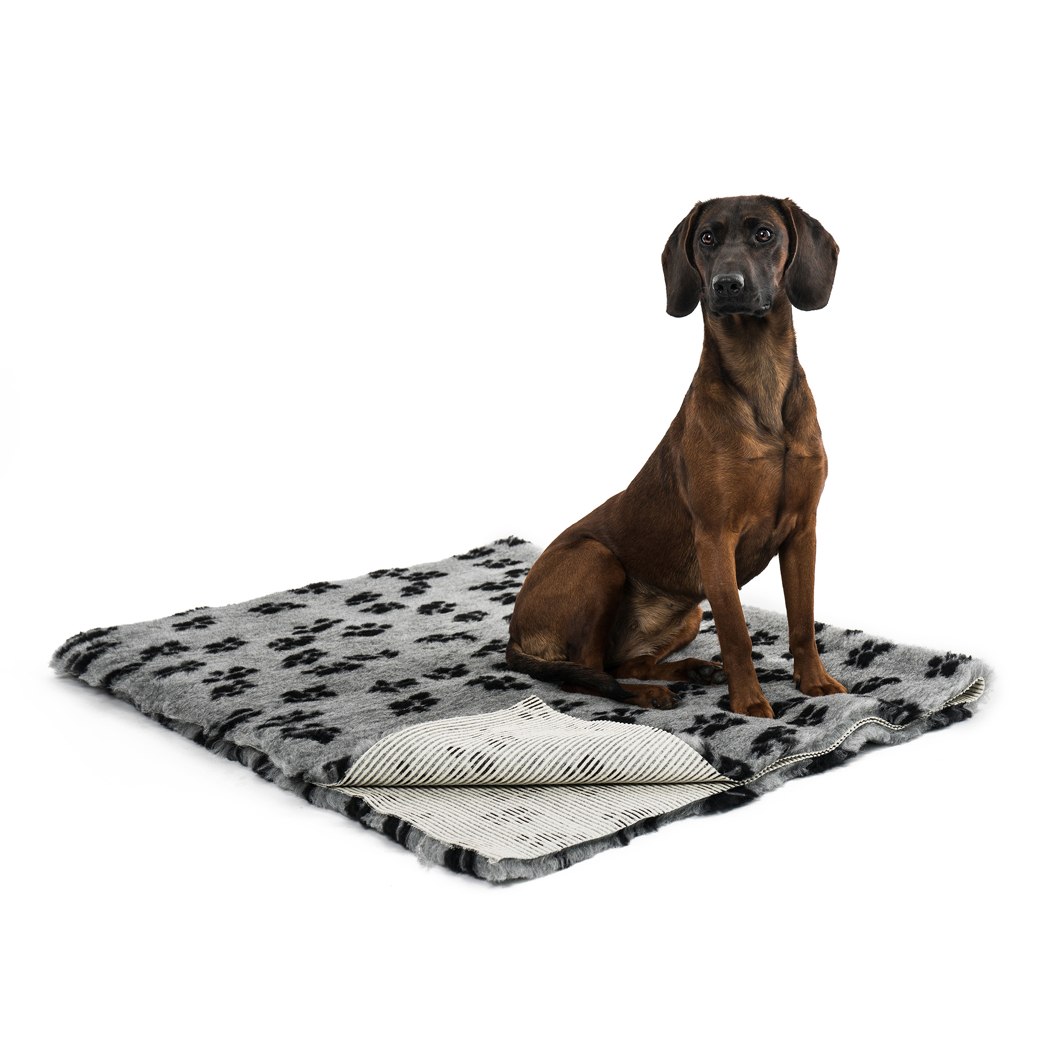 Bavepa Premium Deluxe Couverture pour chien Couverture pour chien